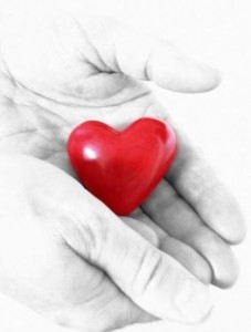 srdce-v-dlani.jpg